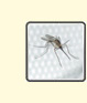 Bild - Insektenschutzgewebe
